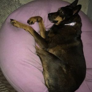 Meet your Posher, Bri